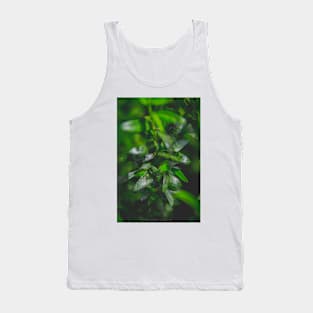 Green Leaves Tank Top